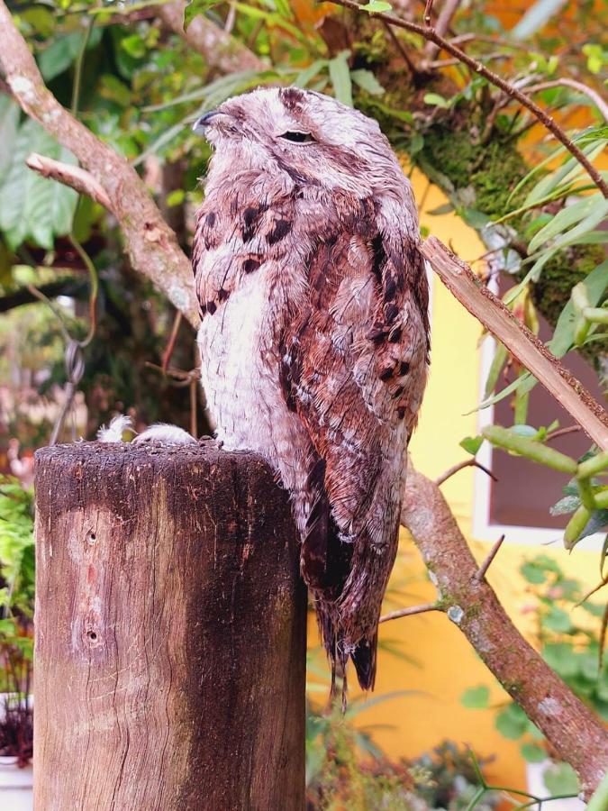 Pousada Capim Melado Ubatuba Dış mekan fotoğraf